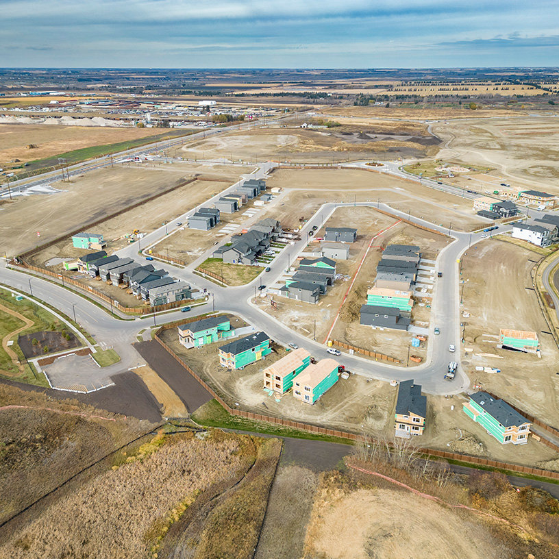 Aerial Cambrian community